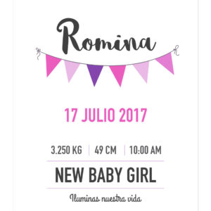 Banner Info Bebé Fiesta Niña